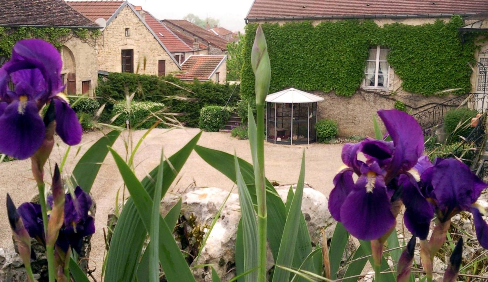 Le Chateau De Prauthoy Dış mekan fotoğraf