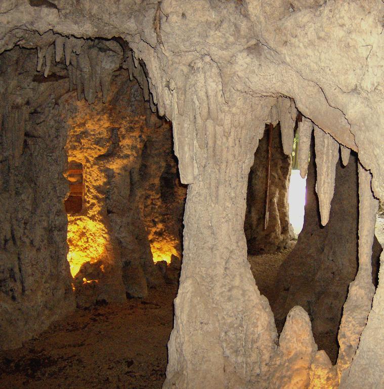 Le Chateau De Prauthoy Dış mekan fotoğraf